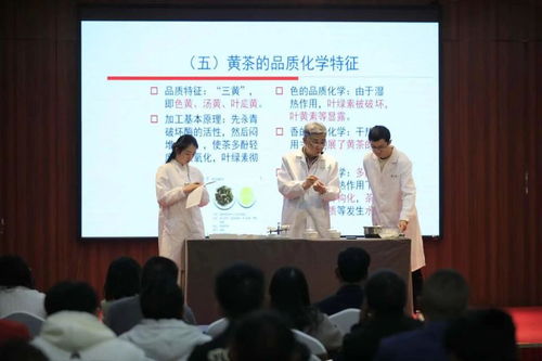 非遺活態傳承新篇章 黔北黃茶技藝選定黔東南代言人，推動茶文化深度交流